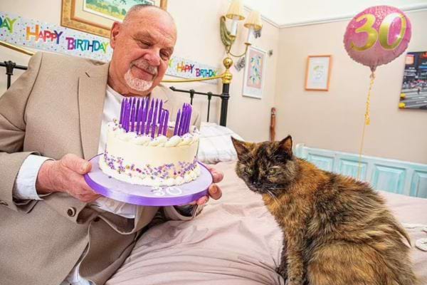 Un homme âgé sourit en tenant un gâteau d'anniversaire près du chat.