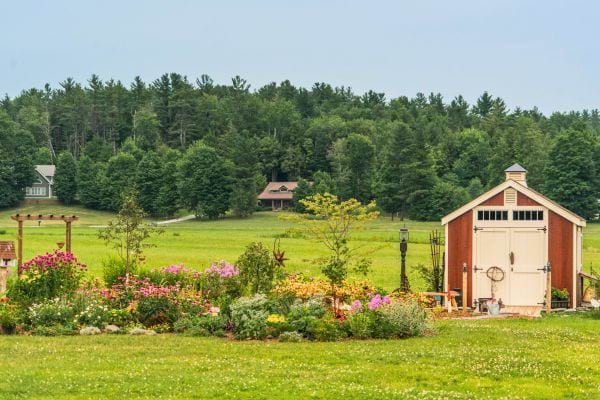 Grand jardin avec diverses fleurs colorées et un abri de jardin en bois au fond près d'une forêt.