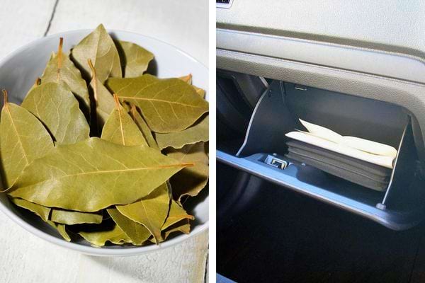 Feuilles de laurier séchées dans un bol blanc.