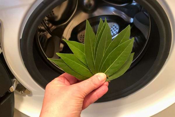 Machine à laver ouverte avec divers vêtements colorés.