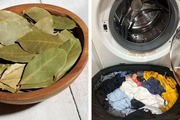 Bol en bois avec des feuilles de laurier sèches à côté d'une machine à laver remplie de linge.