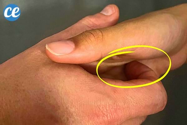 Une main d'un homme qui gratte la paume d'une femme