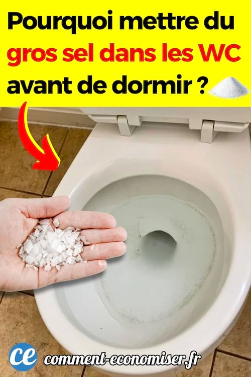 une main avec du gros sel qui va en mettre dans les toilettes