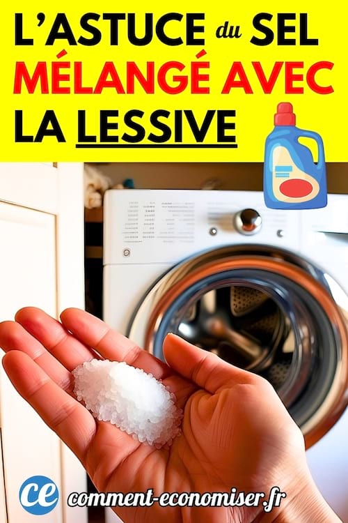 Du sel dans la main qui va être mis dans la lessive pour la machine à laver