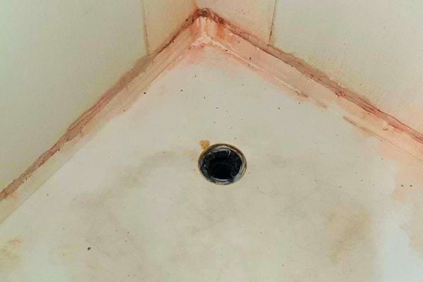 Coin supérieur d'une douche avec des moisissures roses le long des joints.