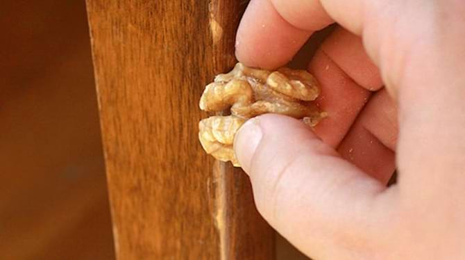 Une main qui frotte une noix pour enlever une rayure sur du bois.