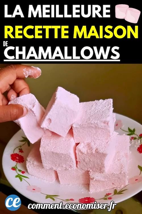 Une assiette de chamallows roses faits maison, saupoudrés de sucre glace.