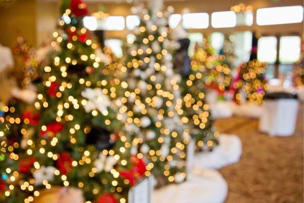 Plusieurs sapins de Noël illuminés dans une salle.