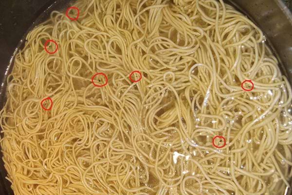 Spaghettis bouillants dans une casserole avec des insectes visibles.