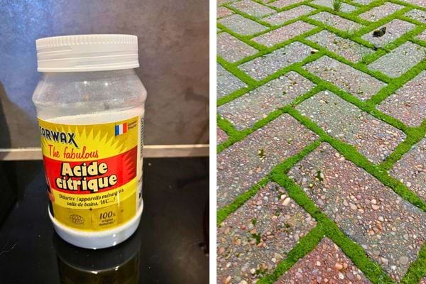 Pot d’acide citrique et allée pavée pleine de mousse.