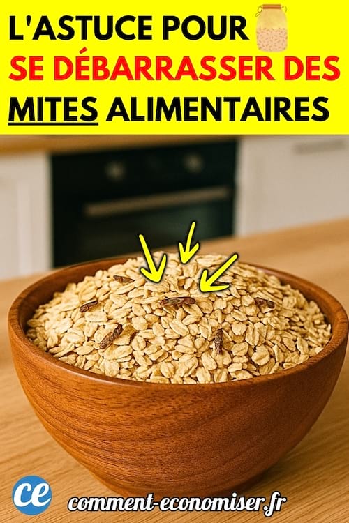 Un grand bol en bois rempli de flocons d’avoine, avec plusieurs mites alimentaires visibles sur le dessus.