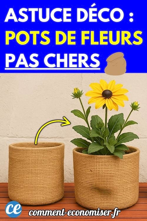Astuce déco économique avec deux pots de fleurs en toile de jute.