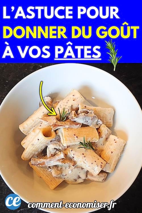 Bol de pâtes crémeuses avec champignons et du romarin.