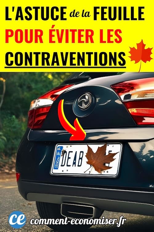 Une voiture avec une feuille sur la plaque d'immatriculation