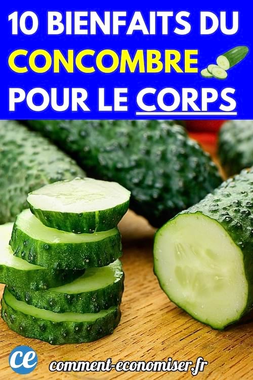 Plusieurs concombres frais sur une planche en bois, dont un est tranché en rondelles. 