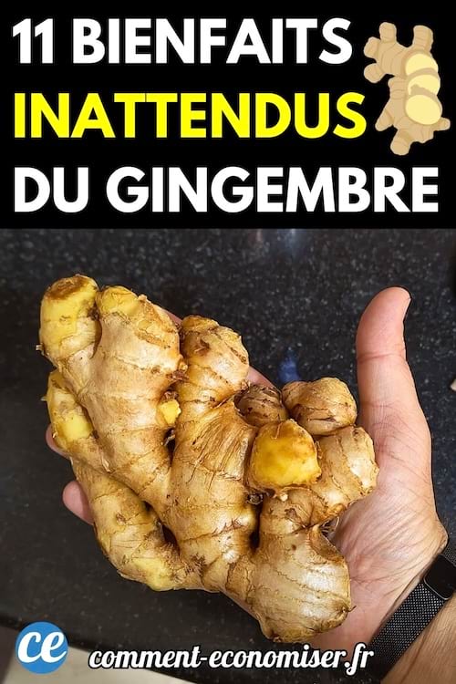 Une main tenant un gros morceau de gingembre frais.