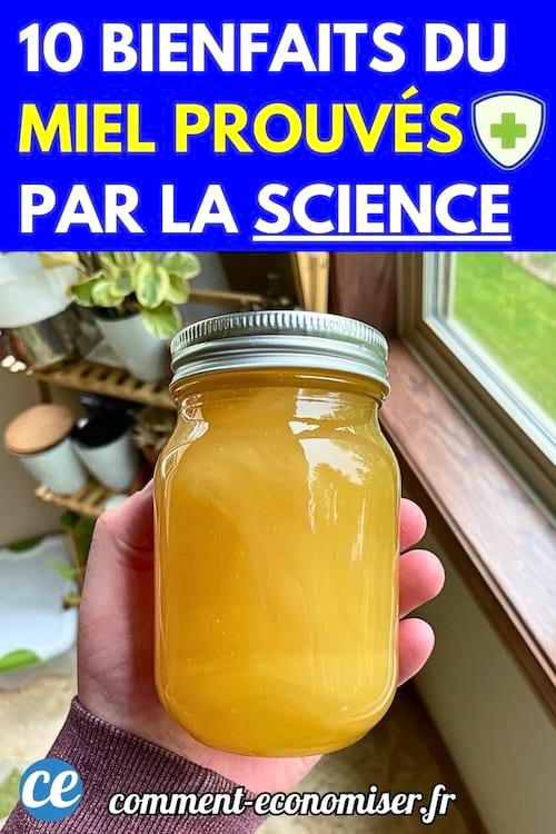 Une main tient un pot de miel doré devant une fenêtre.