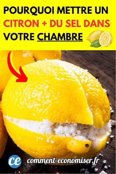 Du citron avec du sel
