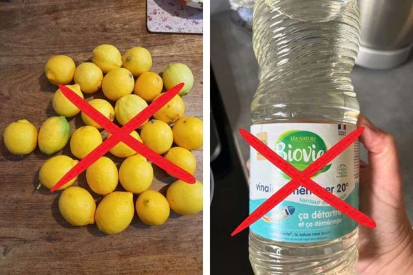 Citrons et vinaigre barrés en rouge.