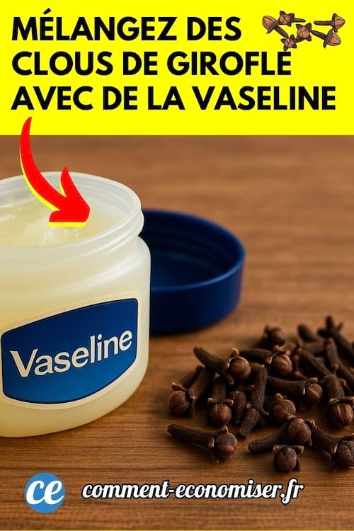 Pot de vaseline avec des clous de girofle