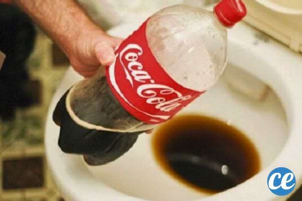 Personne versant du Coca-Cola dans une cuvette de toilettes.