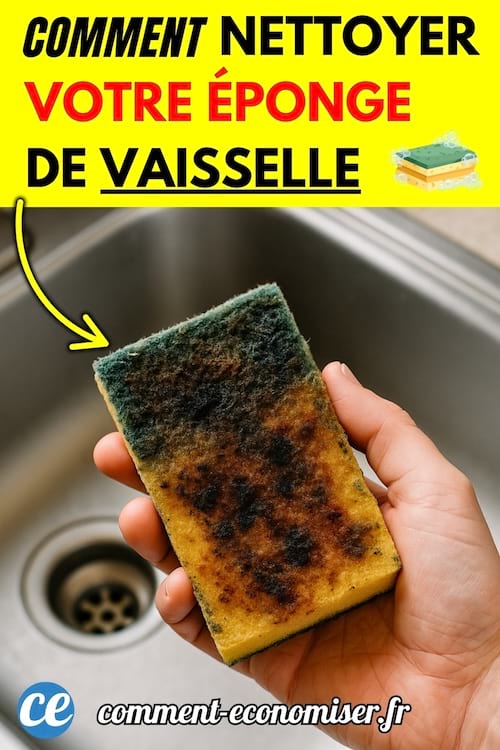 Une main tenant une éponge de vaisselle sale au-dessus d'un évier.