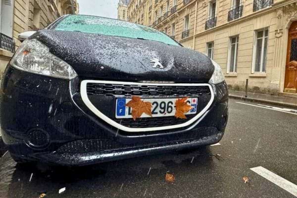 Deux feuilles masquent partiellement la plaque avant d’une Peugeot noire sous la pluie.