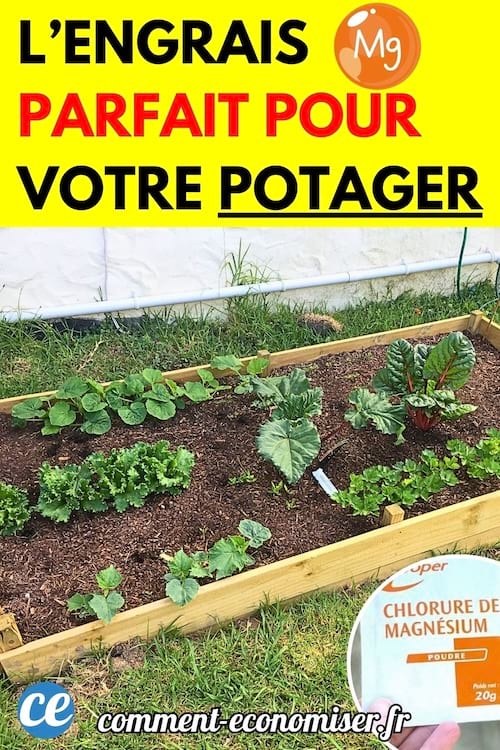 Un potager en carrés avec des légumes verts en pleine croissance, entouré d’un cadre en bois, posé sur de l’herbe. En bas à droite, un pot de chlorure de magnésium est visible.