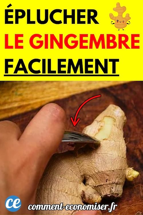 Main en train d’éplucher facilement un morceau de gingembre avec le bord d’une cuillère.