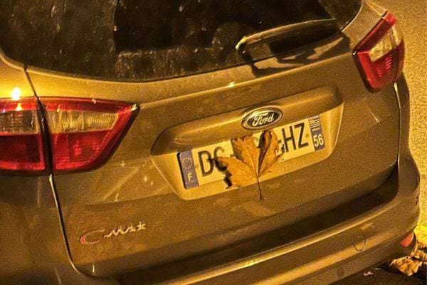 Une feuille sèche cache le centre d’une plaque sur une Ford stationnée.