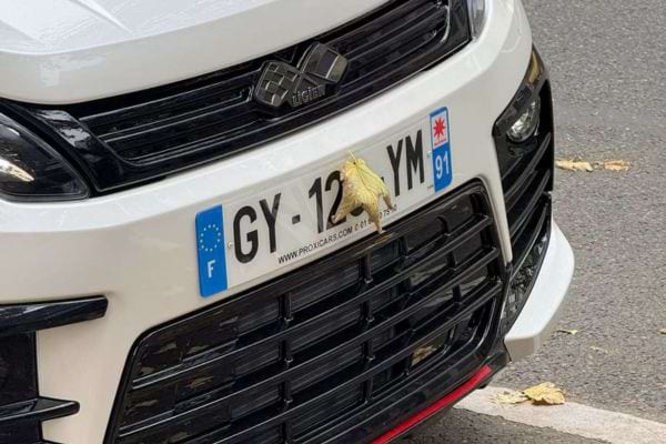 Une petite feuille jaune est plaquée au centre de la plaque avant d’une voiture blanche.