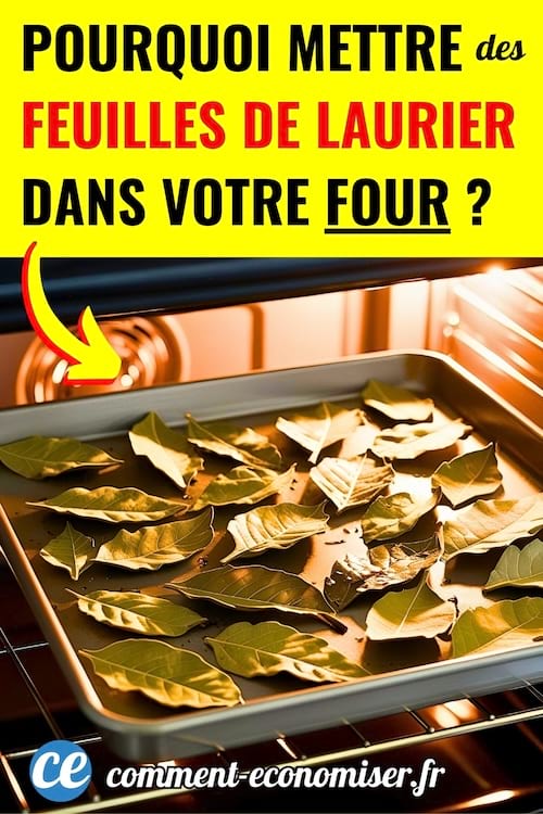 Des feuilles de laurier dans un four