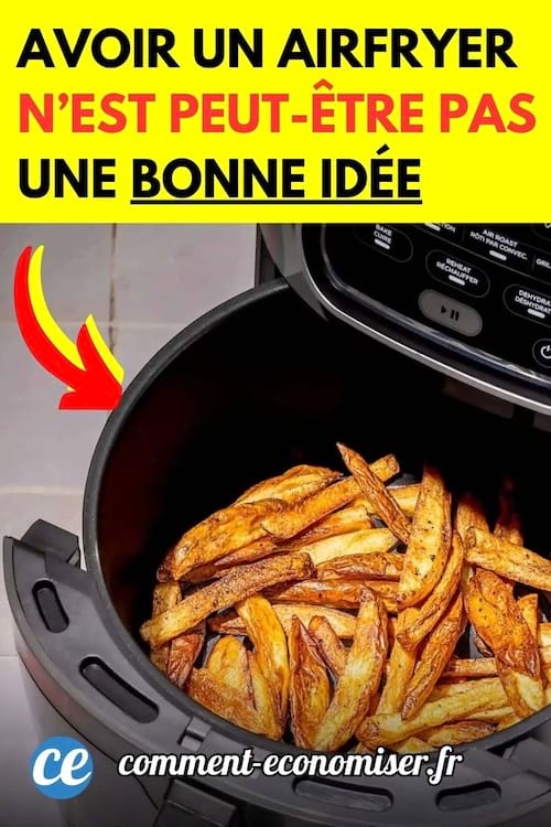 Des frites dans un airfryer