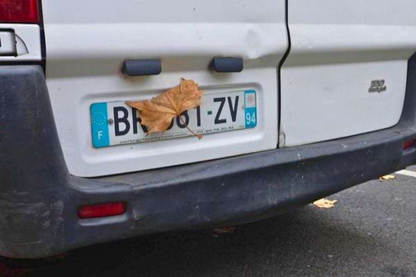 Une feuille d’arbre est collée au milieu de la plaque arrière d’un fourgon blanc.