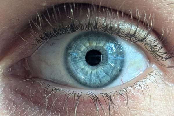 Gros plan sur un œil bleu.