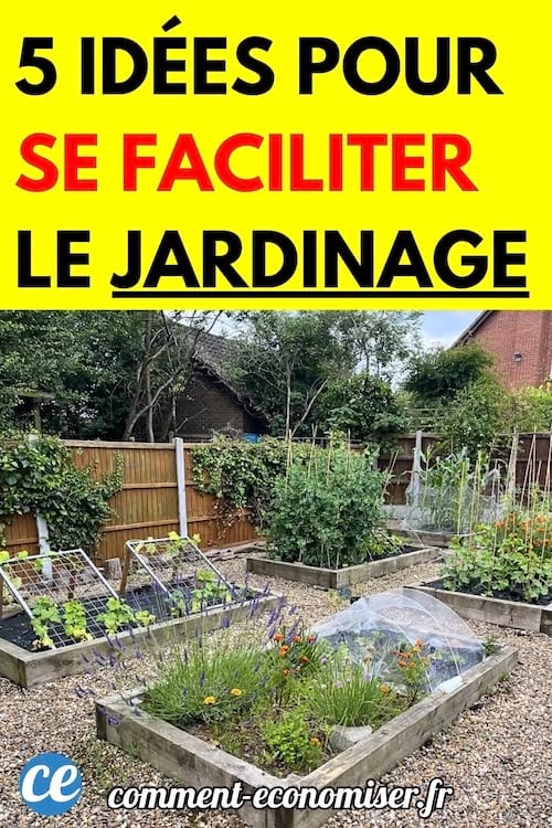 Des carrés potagers bien organisés dans un jardin avec diverses plantations.