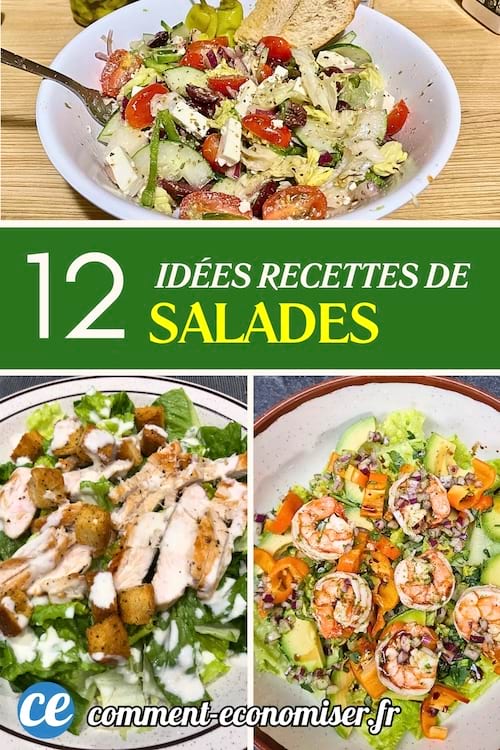 Trois assiettes de salades colorées : en haut, une salade composée avec tomates cerises, feta, oignons rouges, concombres, olives et pain grillé ; en bas à gauche, une salade César avec poulet grillé et croûtons ; en bas à droite, une salade fraîche avec crevettes, poivrons, avocat et oignons rouges.
