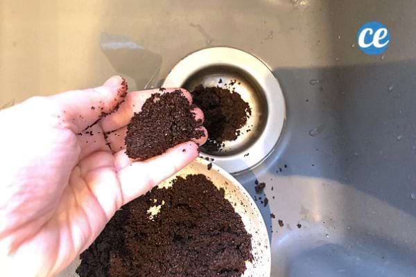 du marc de café dans un évier