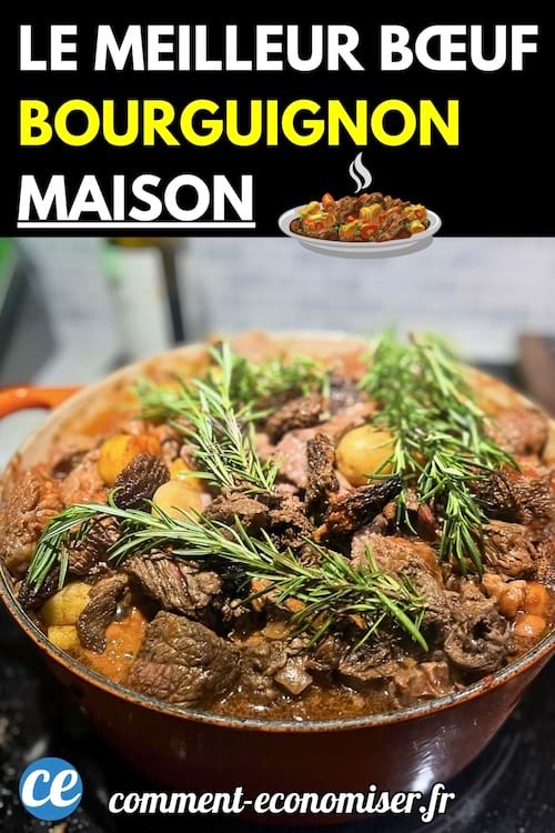 Plat de bœuf bourguignon maison mijotant dans une cocotte en fonte rouge.