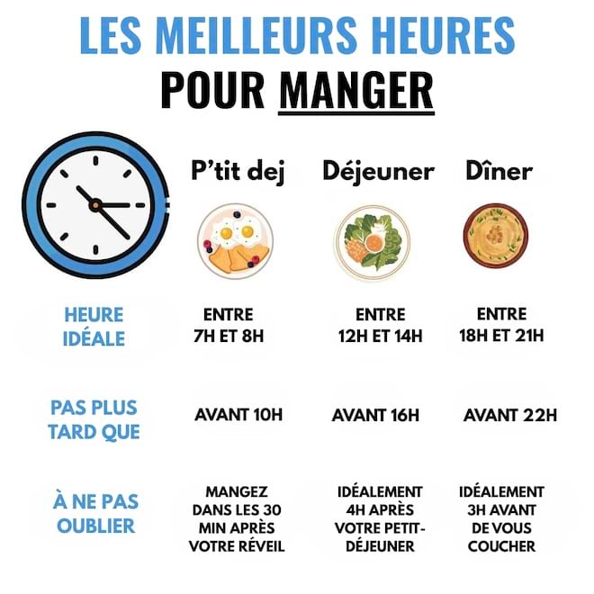 Les meilleurs heures de la journée pour manger