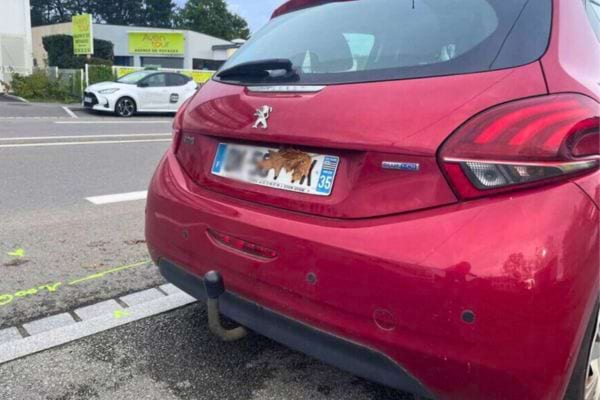 Une grande feuille marron dissimule les chiffres d’une plaque sur une Peugeot rouge.