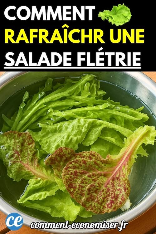Feuilles de salade flétries trempées dans un saladier d’eau froide pour les rafraîchir.