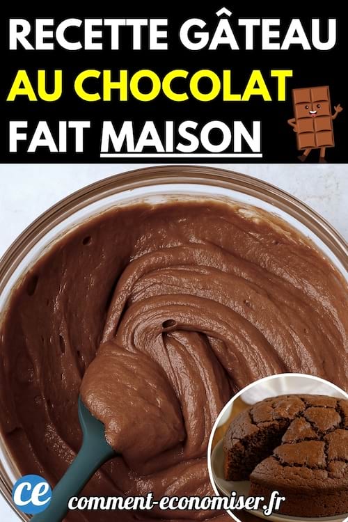 Une cuillère plonge dans une pâte au chocolat onctueuse dans un grand bol en verre, avec en médaillon une part de gâteau au chocolat fait maison.