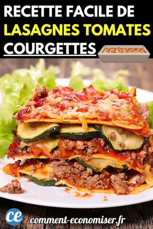 Une part de lasagnes maison avec tomates, courgettes et viande hachée servie dans une assiette.