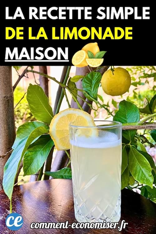 Un verre de limonade maison posé sur une table en bois, garni d’une rondelle de citron.