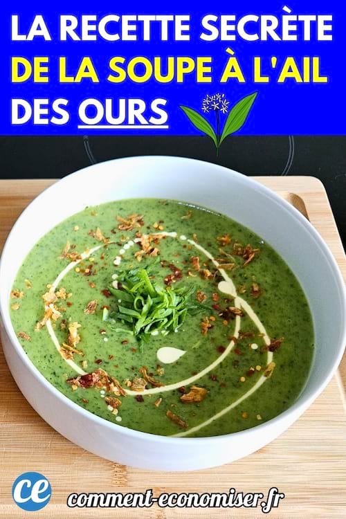 Bol de soupe verte à l’ail des ours, décorée de crème en spirale et de flocons de piment.