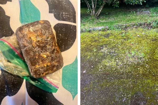 Bloc de savon noir et mousse sur sol en béton.