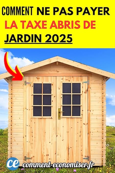 un abris de jardin en bois