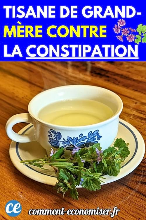 Tasse de tisane chaude posée sur une soucoupe avec motif floral bleu, accompagnée de fleurs de thym fraîches.