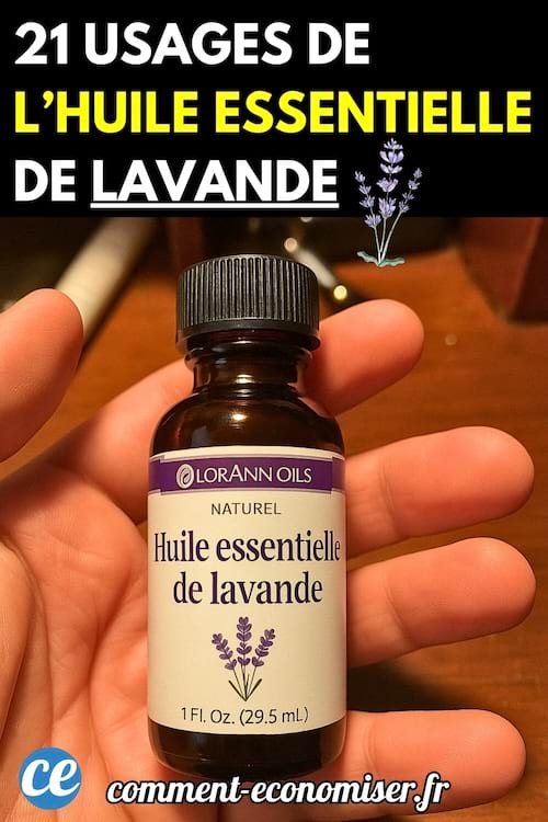 Une main tenant un flacon d’huile essentielle de lavande.